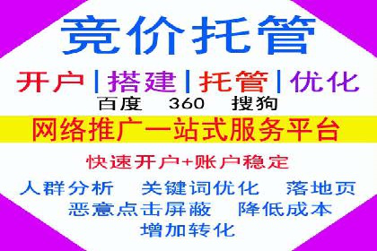 SEM广告案例：数据分析驱动营销决策